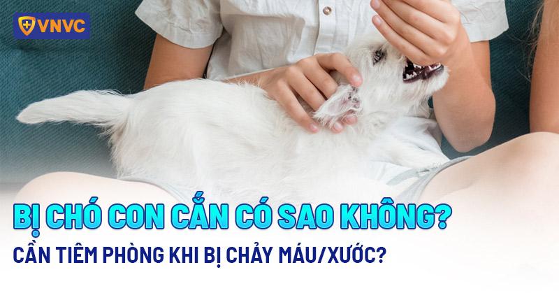 bị chó con cắn có sao không