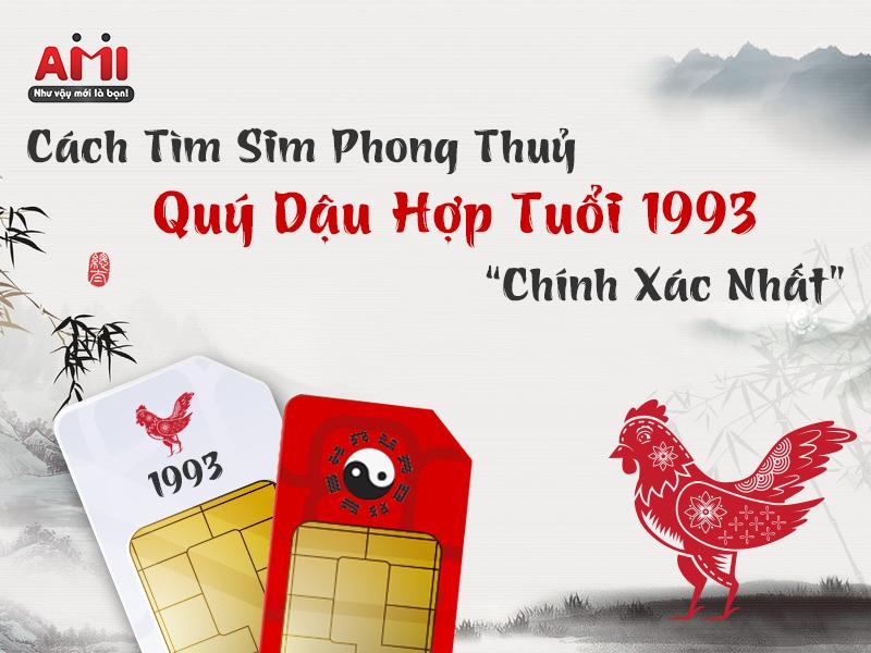 sim phong thủy quý dậu